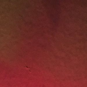 Meet your Posher, Dylan